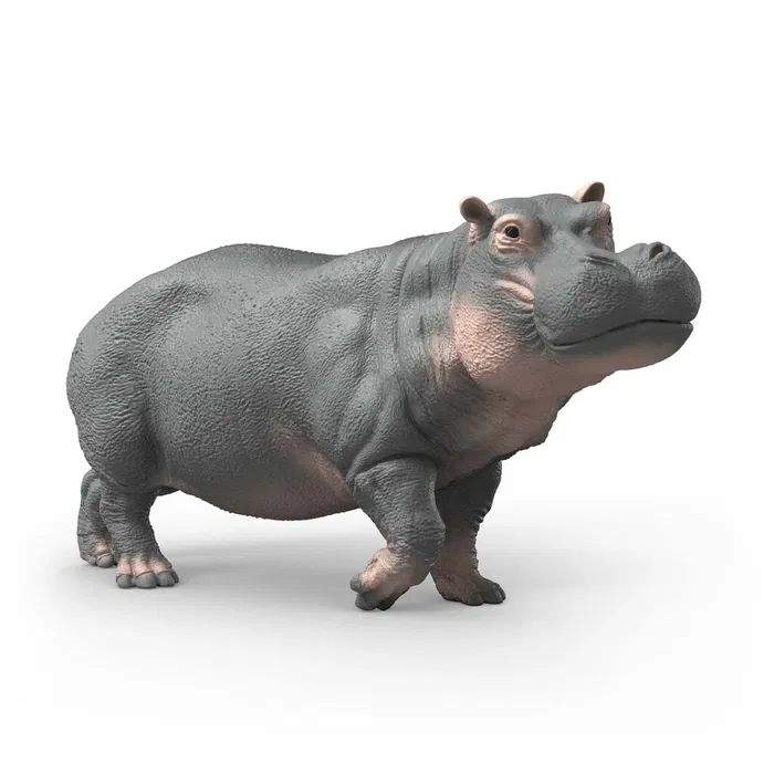 Schleich - Hippopotamus (14938) - Toys